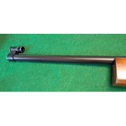 Wather KK Match 22lr + dioptre