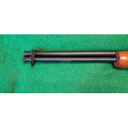 Vendu ! Rossi Gallery 22lr (à pompe) Crosse bois