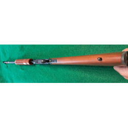 Vendu ! Rossi Gallery 22lr (à pompe) Crosse bois