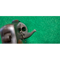 Velodog Saint Etienne