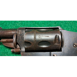 Velodog Saint Etienne